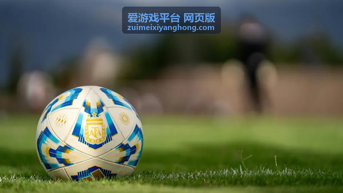 爱游戏平台 网页版 客户端安装包与适配说明