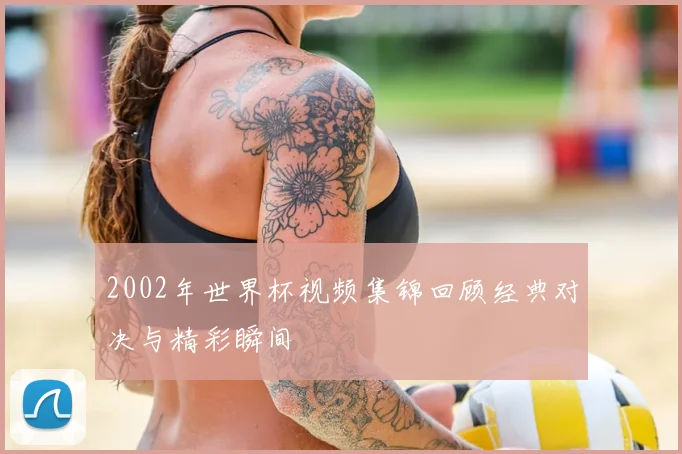 2002年世界杯视频集锦回顾经典对决与精彩瞬间