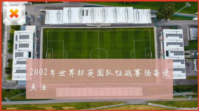 2002年世界杯英国队征战赛场备受关注