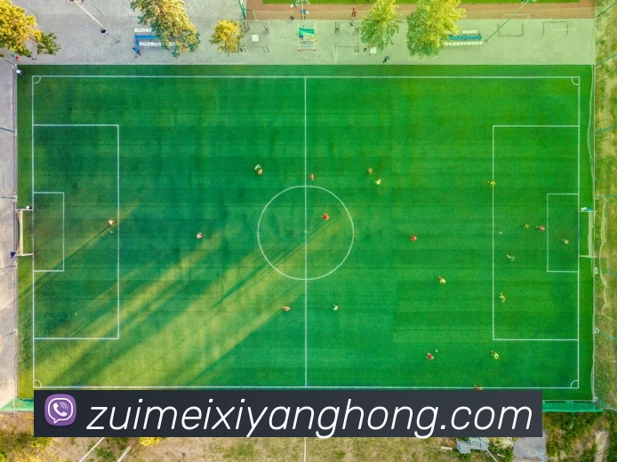 不朽情缘官方平台生态图